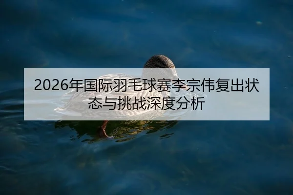 2026年国际羽毛球赛李宗伟复出状态与挑战深度分析