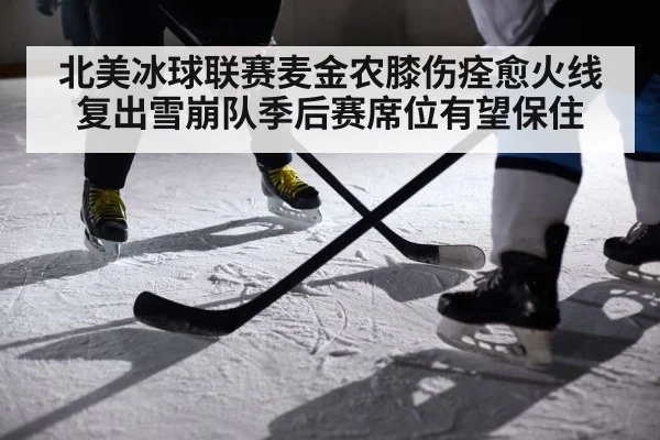 北美冰球联赛麦金农膝伤痊愈火线复出雪崩队季后赛席位有望保住