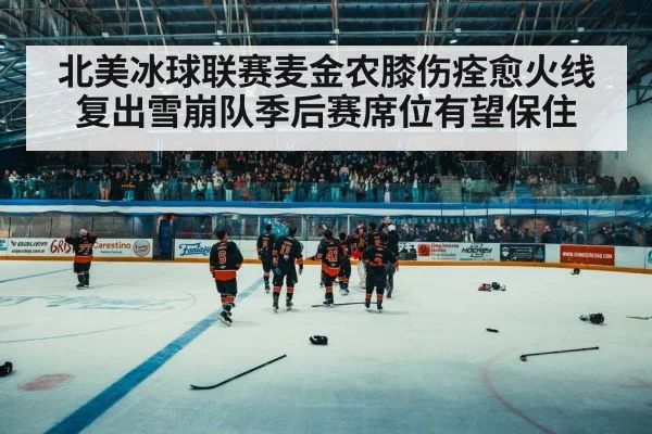 hockey arena crowd